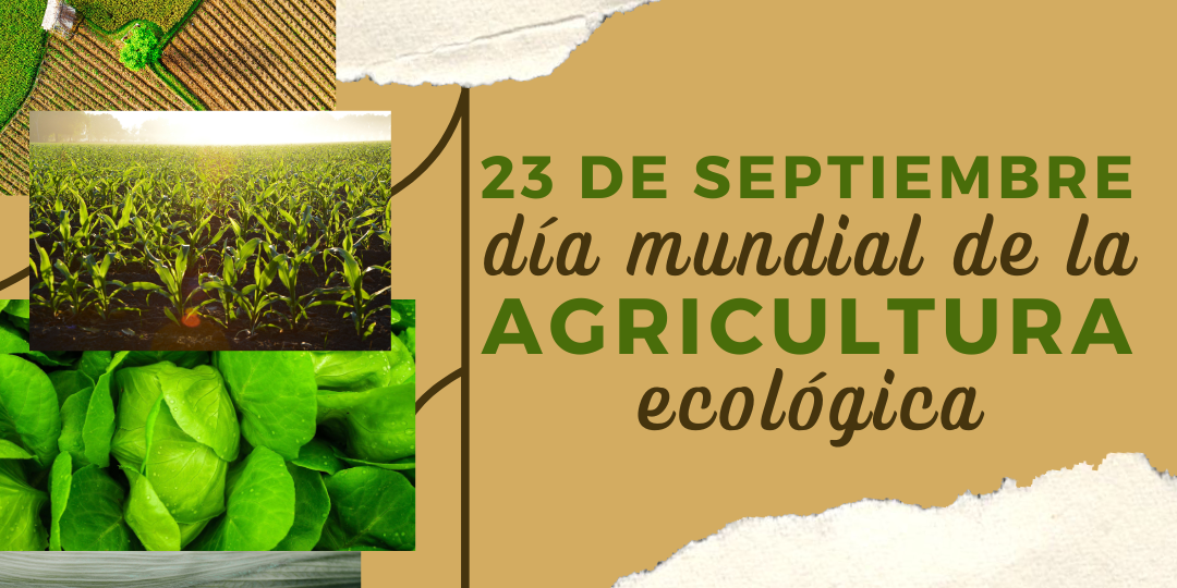 dias mundiales (1)