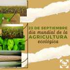 dias mundiales (1)