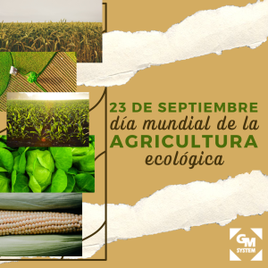 dias mundiales (1)